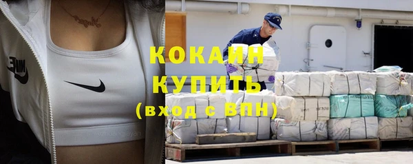 шишки Балахна