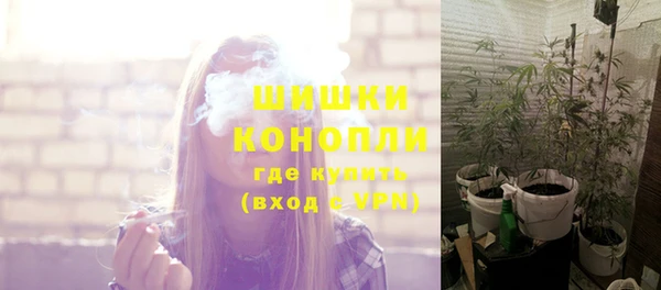 шишки Балахна