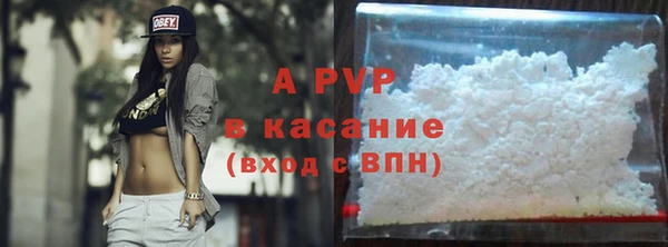 шишки Балахна