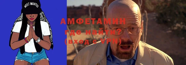 шишки Балахна