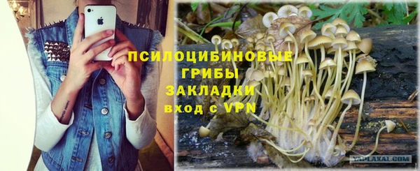 шишки Балахна